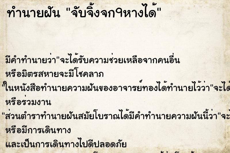 ทำนายฝันจับจิ้งจก9หางได้ ทำนายฝันทำนายฝันจับจิ้งจก9หางได้