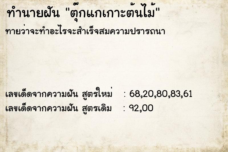 ทำนายฝัน ตุ๊กแกเกาะต้นไม้ ทำนายฝัน ตุ๊กแกเกาะต้นไม้