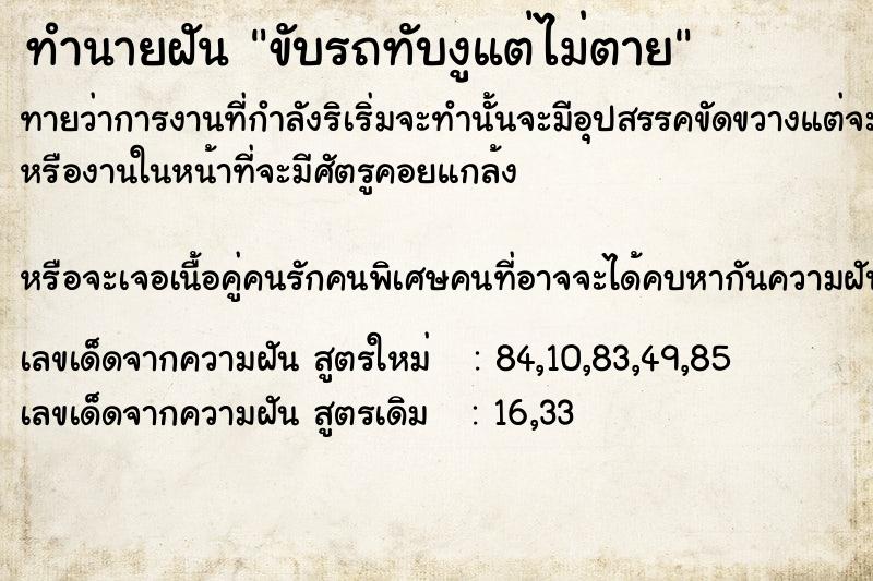 ทำนายฝันขับรถทับงูแต่ไม่ตาย ทำนายฝันทำนายฝันขับรถทับงูแต่ไม่ตาย