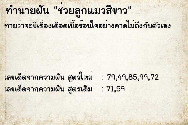 ทำนายฝัน ช่วยลูกแมวสีขาว
