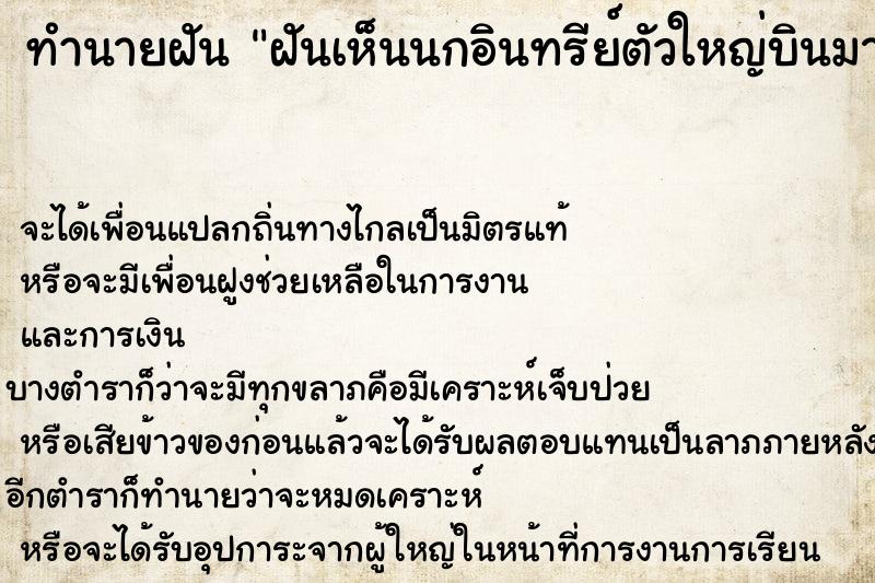 ทำนายฝันฝันเห็นนกอินทรีย์ตัวใหญ่บินมาเกาะหลัง ทำนายฝันทำนายฝันฝันเห็นนกอินทรีย์ตัวใหญ่บินมาเกาะหลัง