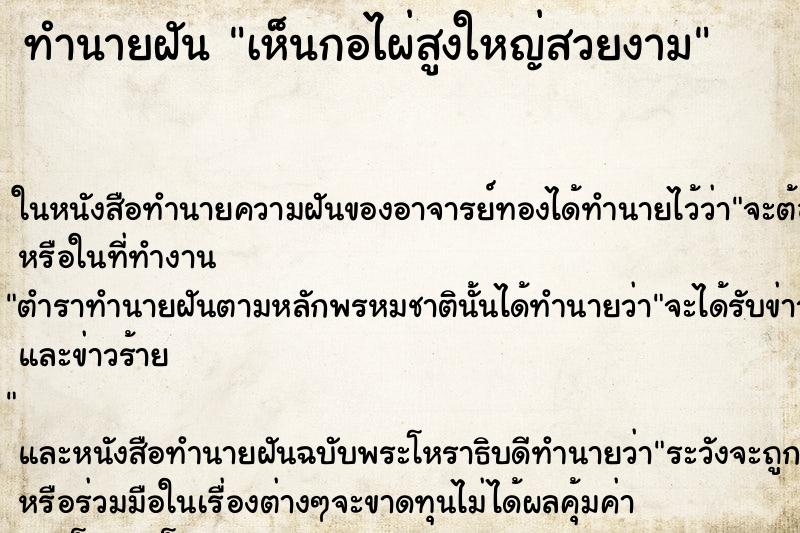 ทำนายฝัน เห็นกอไผ่สูงใหญ่สวยงาม