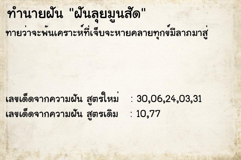 ทำนายฝันฝันลุยมูนสัด ทำนายฝันทำนายฝันฝันลุยมูนสัด
