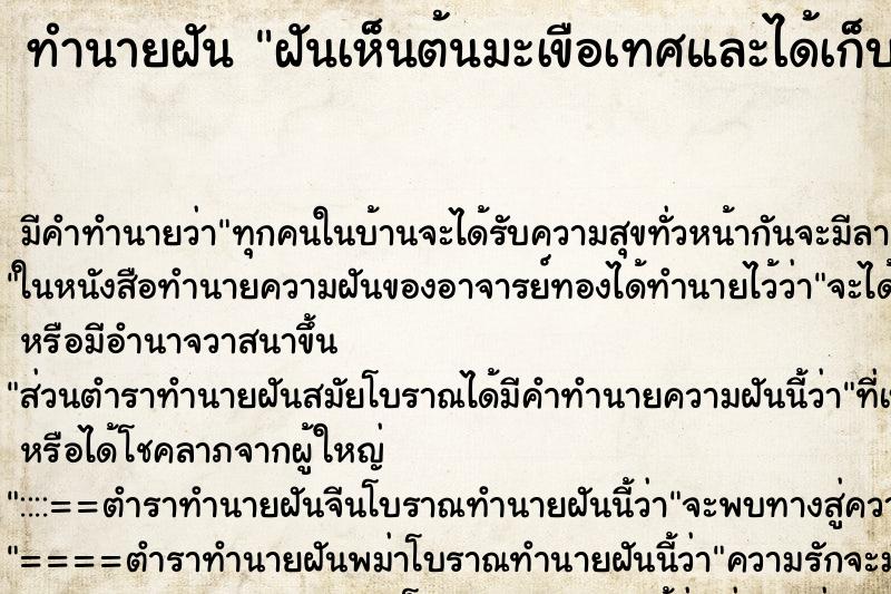 ทำนายฝัน ฝันเห็นต้นมะเขือเทศและได้เก็บมะเขือเทศกิน ตำราโบราณ แม่นที่สุดในโลก