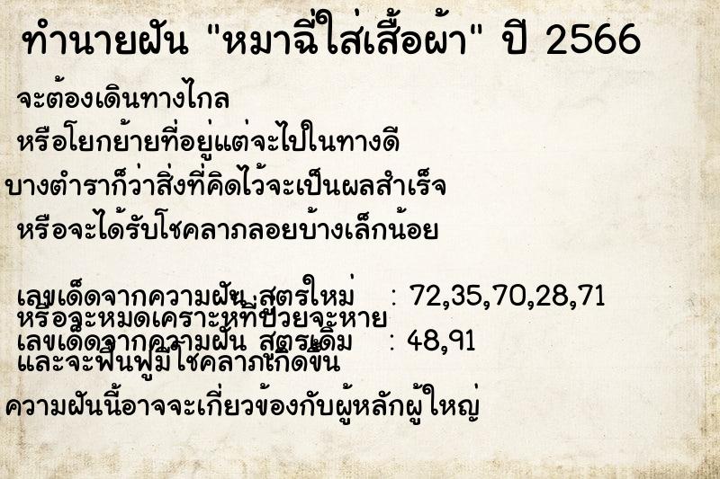 ทำนายฝัน หมาฉี่ใส่เสื้อผ้า ทำนายฝัน หมาฉี่ใส่เสื้อผ้า