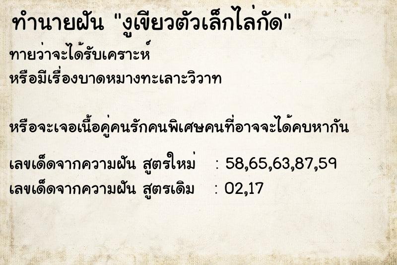 ทำนายฝันทำนายฝันงูเขียวตัวเล็กไล่กัด
