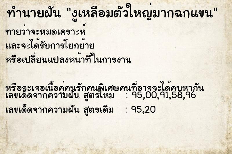 ทำนายฝัน งูเหลือมตัวใหญ่มากฉกแขน ทำนายฝัน งูเหลือมตัวใหญ่มากฉกแขน