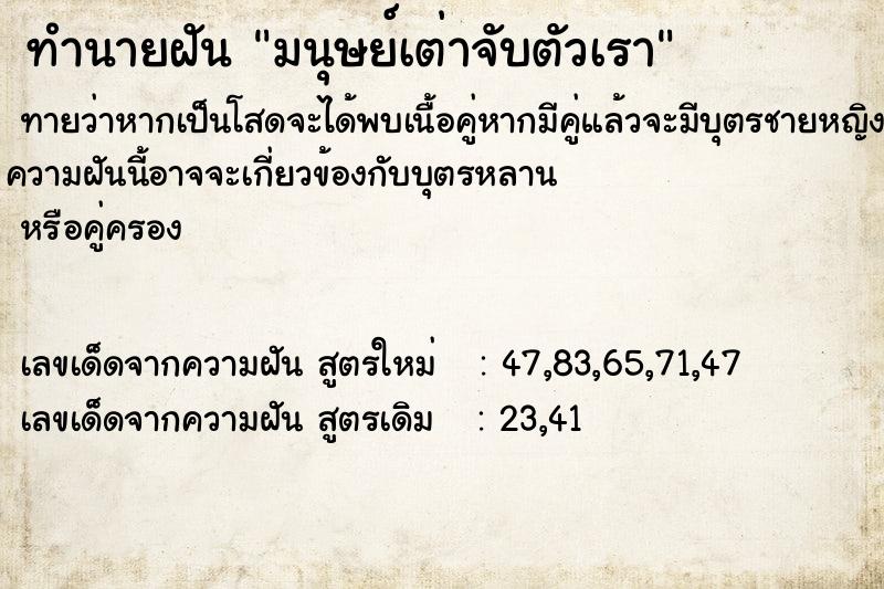 ทำนายฝันทำนายฝันมนุษย์เต่าจับตัวเรา