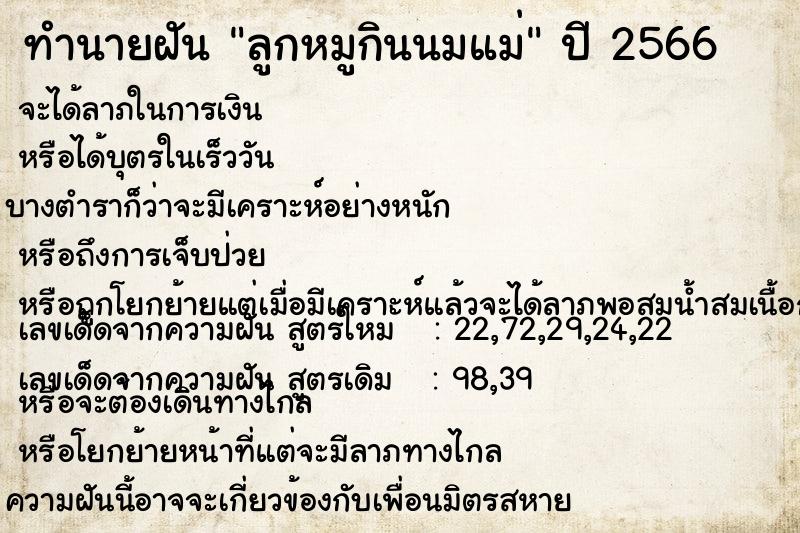 ทำนายฝัน ลูกหมูกินนมแม่ ทำนายฝัน ลูกหมูกินนมแม่