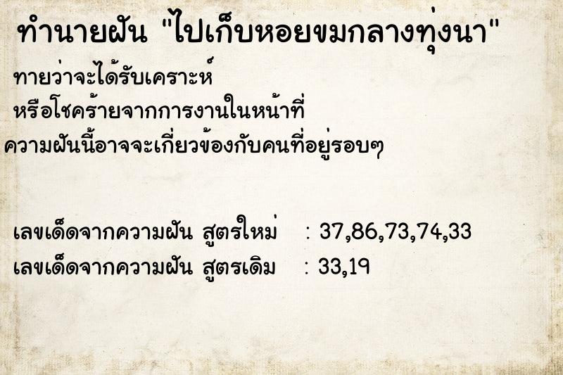 ทำนายฝันทำนายฝันไปเก็บหอยขมกลางทุ่งนา