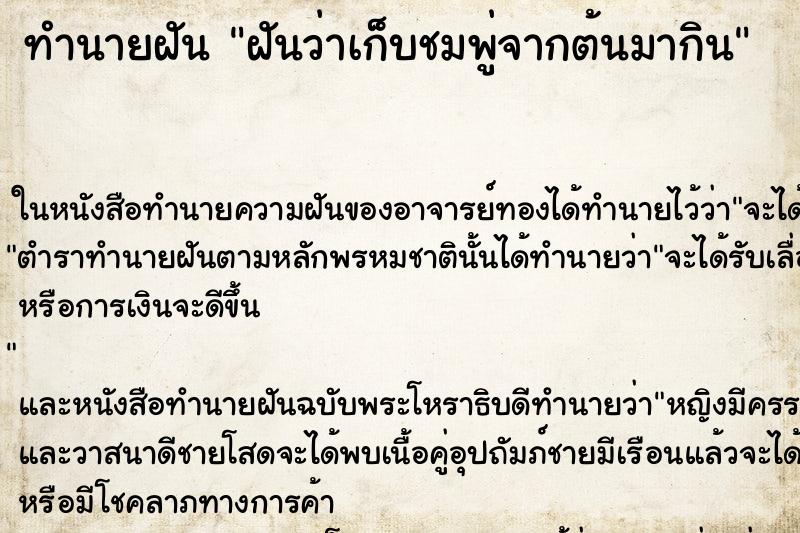 ทำนายฝันฝันว่าเก็บชมพู่จากต้นมากิน ทำนายฝันทำนายฝันฝันว่าเก็บชมพู่จากต้นมากิน
