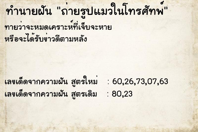 ทำนายฝัน ถ่ายรูปแมวในโทรศัทพ์ ทำนายฝัน ถ่ายรูปแมวในโทรศัทพ์