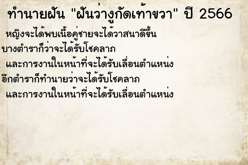 ทำนายฝันฝันว่างูกัดเท้าขวา ทำนายฝันทำนายฝันฝันว่างูกัดเท้าขวา