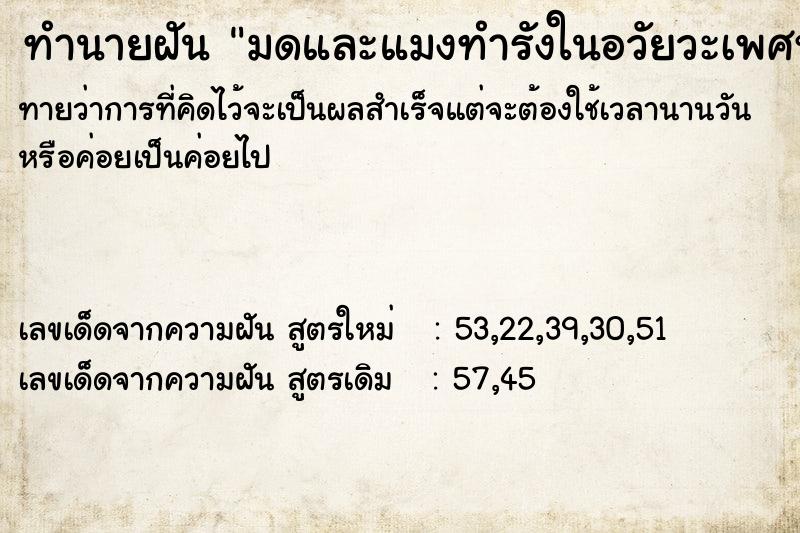 ทำนายฝันมดและแมงทำรังในอวัยวะเพศหญิง ทำนายฝันทำนายฝันมดและแมงทำรังในอวัยวะเพศหญิง