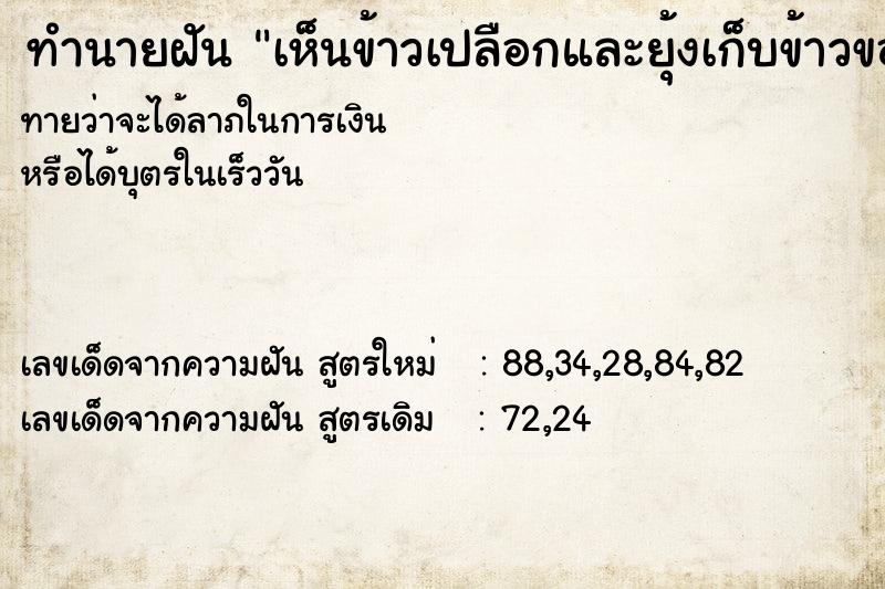 ทำนายฝัน เห็นข้าวเปลือกและยุ้งเก็บข้าวของชาวบ้าน ทำนายฝัน เห็นข้าวเปลือกและยุ้งเก็บข้าวของชาวบ้าน