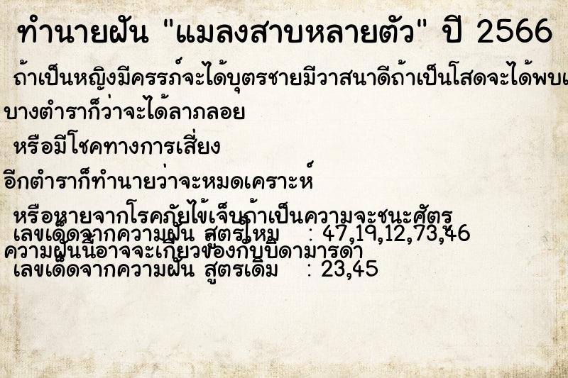 ทำนายฝันทำนายฝันแมลงสาบหลายตัว