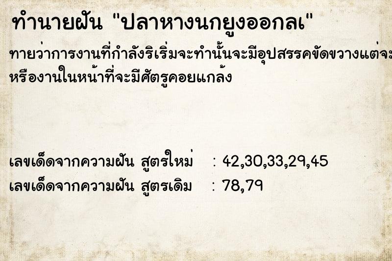 ทำนายฝันปลาหางนกยูงออกลà ทำนายฝันทำนายฝันปลาหางนกยูงออกลà