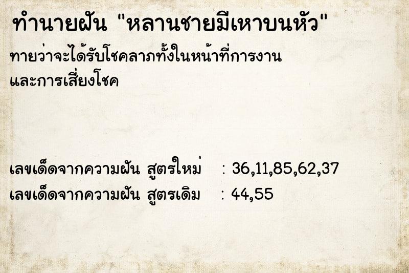 ทำนายฝันทำนายฝันหลานชายมีเหาบนหัว
