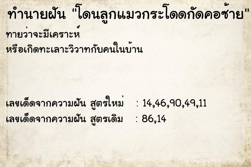 ทำนายฝันทำนายฝันโดนลูกแมวกระโดดกัดคอซ้าย