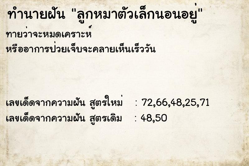 ทำนายฝันทำนายฝันลูกหมาตัวเล็กนอนอยู่