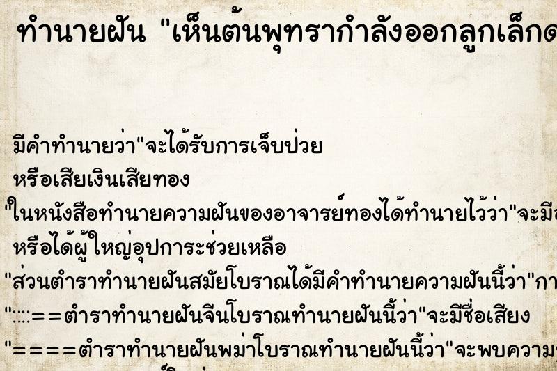 ทำนายฝัน เห็นต้นพุทรากำลังออกลูกเล็กดกมากเต็มต้น ทำนายฝัน เห็นต้นพุทรากำลังออกลูกเล็กดกมากเต็มต้น