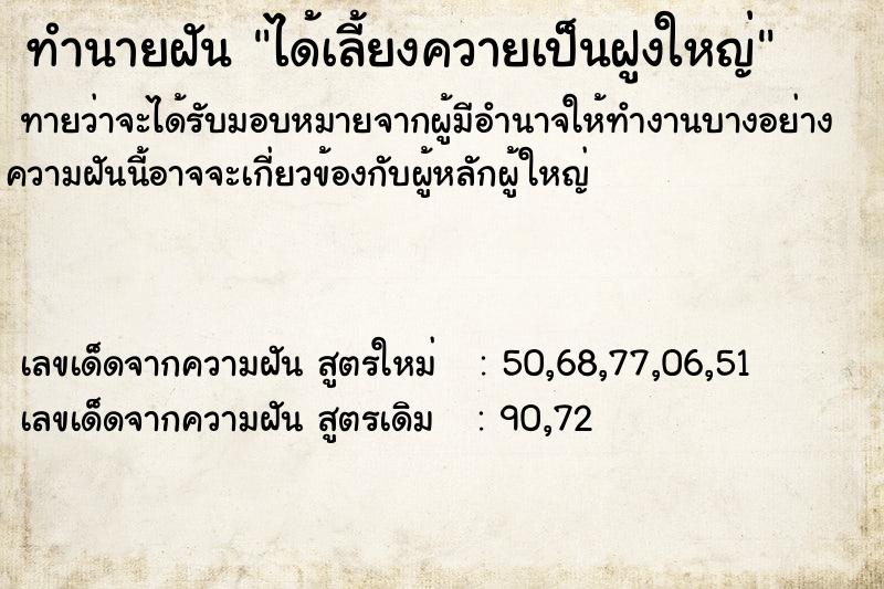 ทำนายฝัน ได้เลี้ยงควายเป็นฝูงใหญ่ ทำนายฝัน ได้เลี้ยงควายเป็นฝูงใหญ่