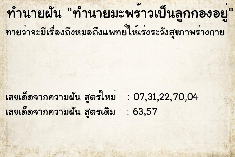 ทำนายฝันทำนายมะพร้าวเป็นลูกกองอยู่ ทำนายฝันทำนายฝันทำนายมะพร้าวเป็นลูกกองอยู่