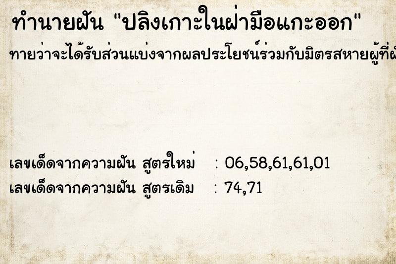 ทำนายฝันปลิงเกาะในฝ่ามือแกะออก ทำนายฝันทำนายฝันปลิงเกาะในฝ่ามือแกะออก