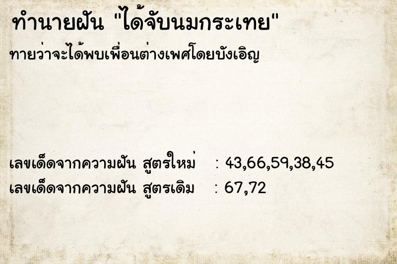 ทำนายฝันได้จับนมกระเทย ทำนายฝันทำนายฝันได้จับนมกระเทย