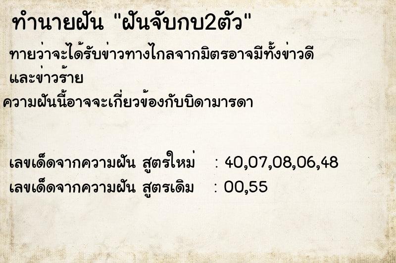 ทำนายฝันฝันจับกบ2ตัว ทำนายฝันทำนายฝันฝันจับกบ2ตัว