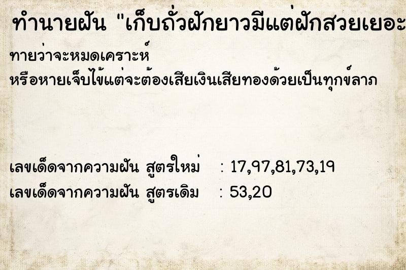 ทำนายฝันเก็บถั่วฝักยาวมีแต่ฝักสวยเยอะมาก ทำนายฝันทำนายฝันเก็บถั่วฝักยาวมีแต่ฝักสวยเยอะมาก