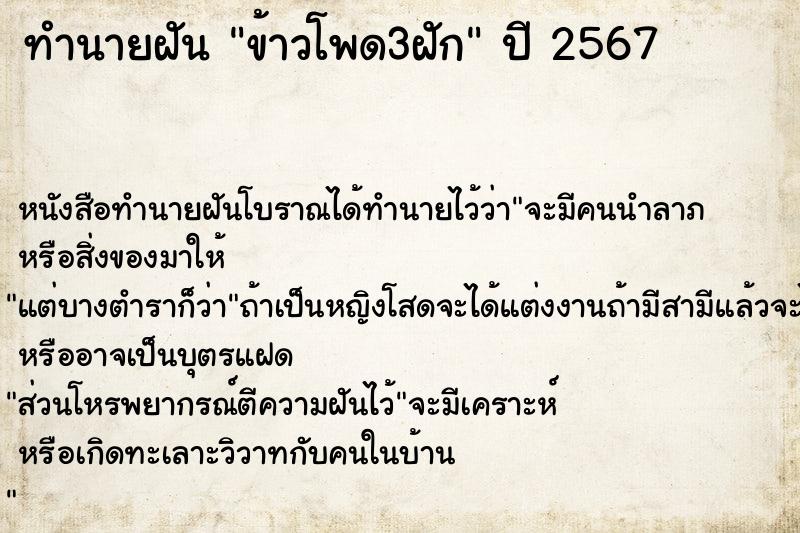 ทำนายฝันข้าวโพด3ฝัก ทำนายฝันทำนายฝันข้าวโพด3ฝัก