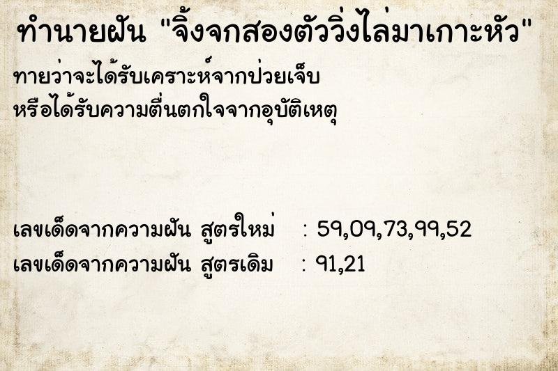 ทำนายฝันจิ้งจกสองตัววิ่งไล่มาเกาะหัว ทำนายฝันทำนายฝันจิ้งจกสองตัววิ่งไล่มาเกาะหัว