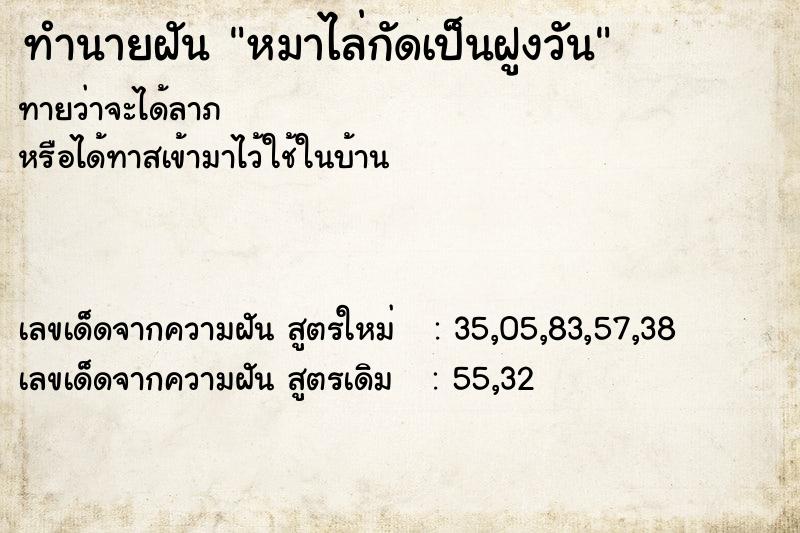 ทำนายฝันทำนายฝันหมาไล่กัดเป็นฝูงวัน