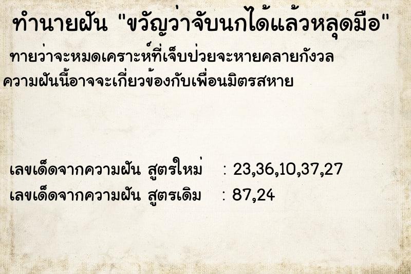 ทำนายฝันทำนายฝันขวัญว่าจับนกได้แล้วหลุดมือ