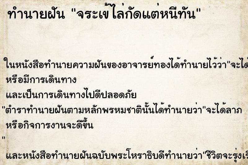 ทำนายฝัน จระเข้ไล่กัดแต่หนีทันแม่นๆ ฟรี ด้วยตำราหนังสือทำนายฝันโบราณ ทำนายฝันจระเข้ไล่กัดแต่หนีทัน