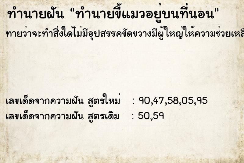 ทำนายฝันทำนายฝันทำนายขี้แมวอยู่บนที่นอน