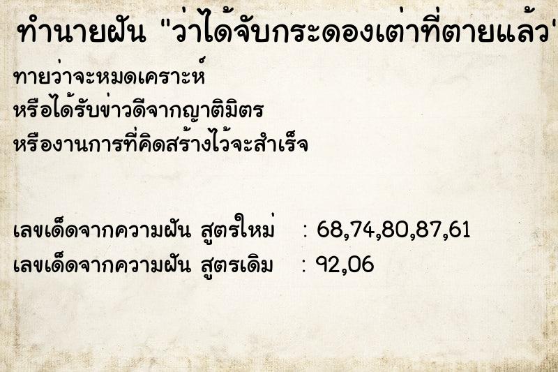 ทำนายฝันทำนายฝันว่าได้จับกระดองเต่าที่ตายแล้ว