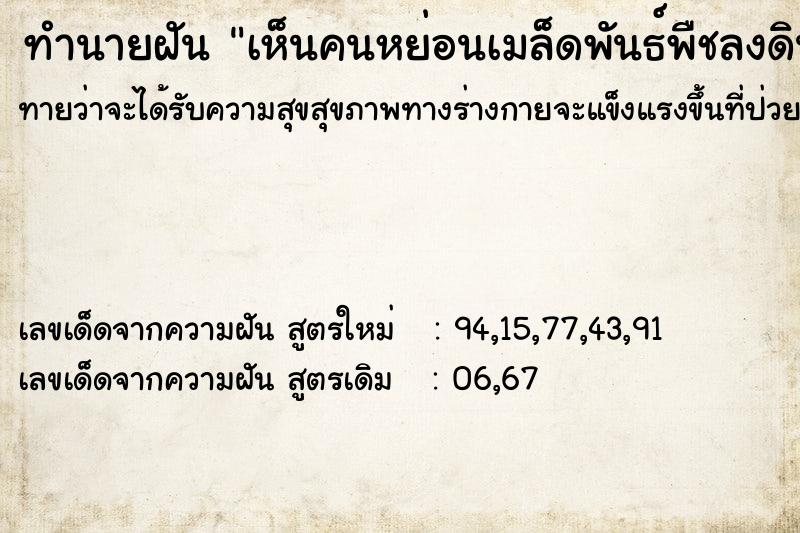 ทำนายฝันทำนายฝันเห็นคนหย่อนเมล็ดพันธ์พืชลงดิน