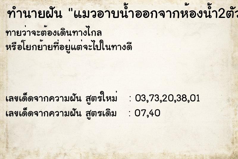 ทำนายฝันทำนายฝันแมวอาบน้ำออกจากห้องน้ำ2ตัว