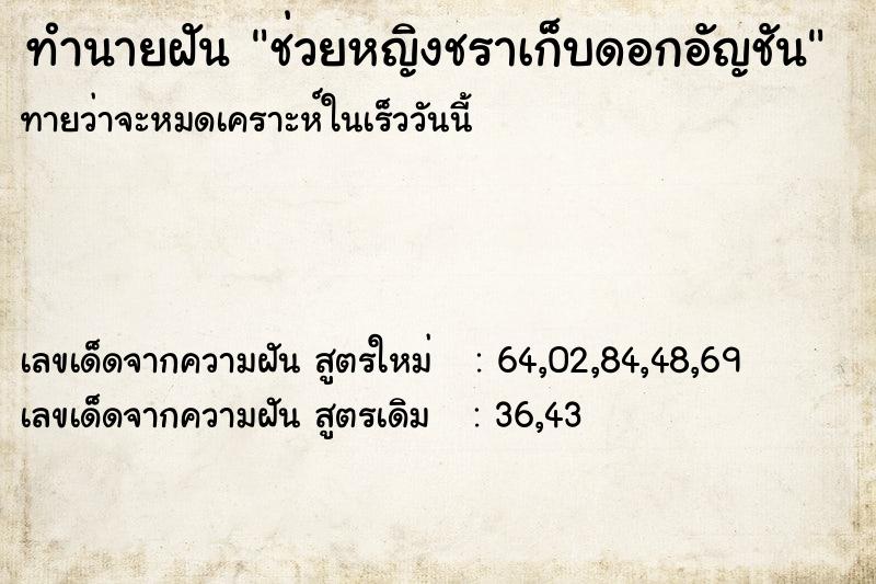 ทำนายฝัน ช่วยหญิงชราเก็บดอกอัญชัน ทำนายฝัน ช่วยหญิงชราเก็บดอกอัญชัน