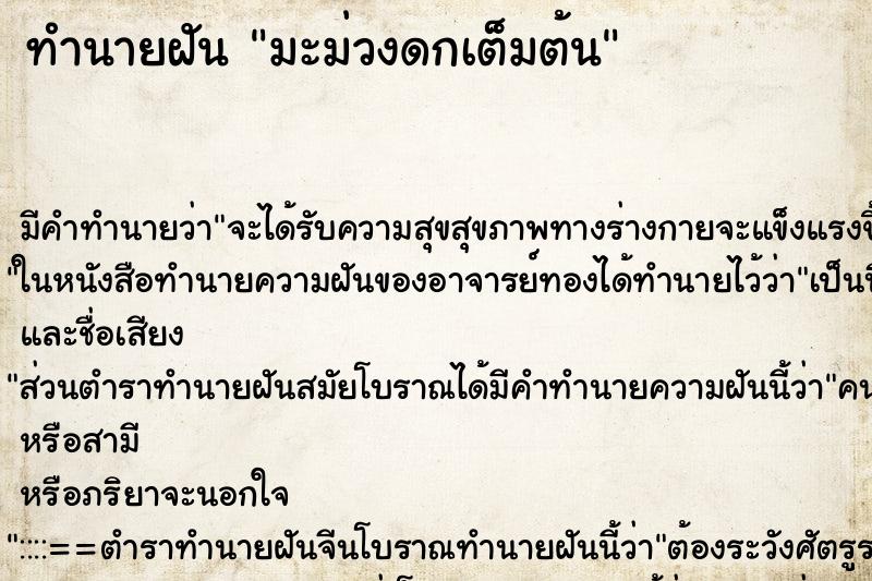 ทำนายฝัน มะม่วงดกเต็มต้น ตำราโบราณ แม่นที่สุดในโลก