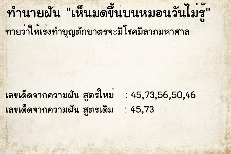 ทำนายฝันทำนายฝันเห็นมดขึ้นบนหมอนวันไม่รู้