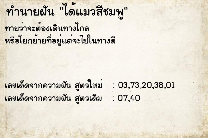 ทำนายฝันทำนายฝันได้แมวสีชมพู