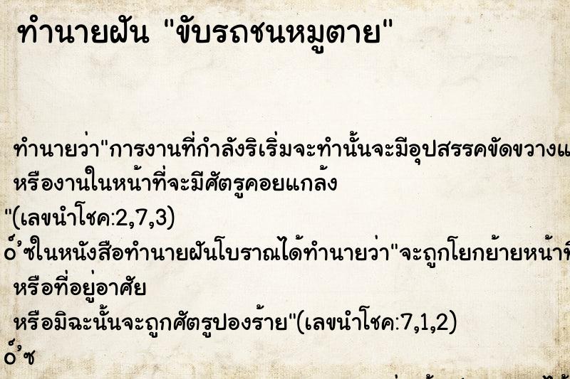 ทำนายฝัน ขับรถชนหมูตาย ทำนายฝัน ขับรถชนหมูตาย