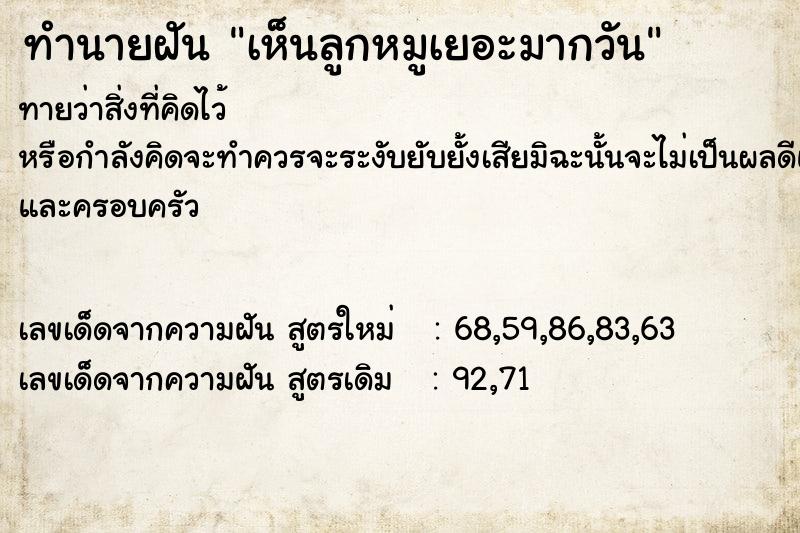 ทำนายฝันทำนายฝันเห็นลูกหมูเยอะมากวัน