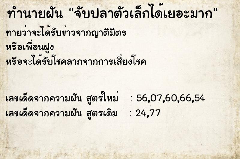 ทำนายฝันทำนายฝันจับปลาตัวเล็กได้เยอะมาก