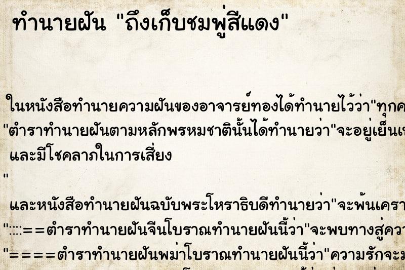 ทำนายฝันถึงเก็บชมพู่สีแดง ทำนายฝันทำนายฝันถึงเก็บชมพู่สีแดง