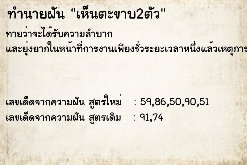 ทำนายฝัน เห็นตะขาบ2ตัว ทำนายฝัน เห็นตะขาบ2ตัว