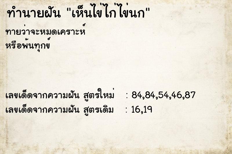 ทำนายฝันทำนายฝันเห็นไข่ไก่ไข่นก